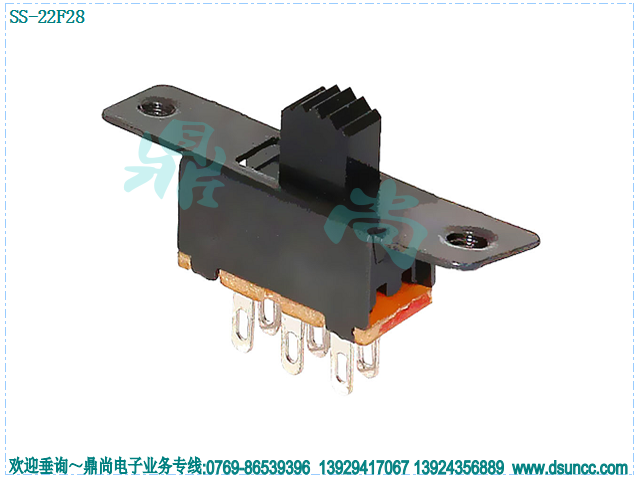 SS-22F28