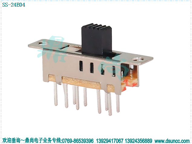 SS-24E04