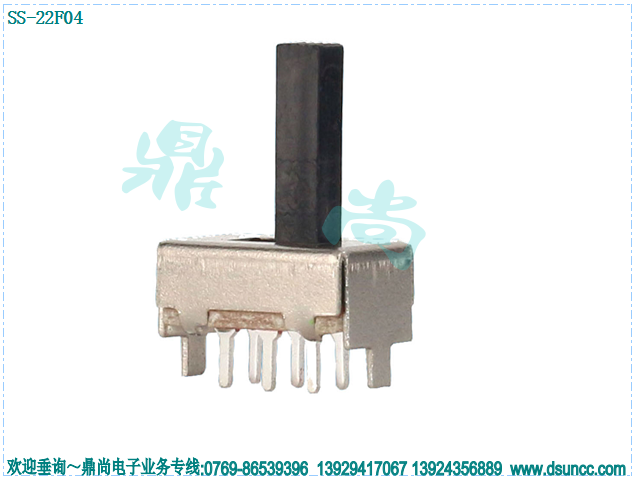 SS-22F04