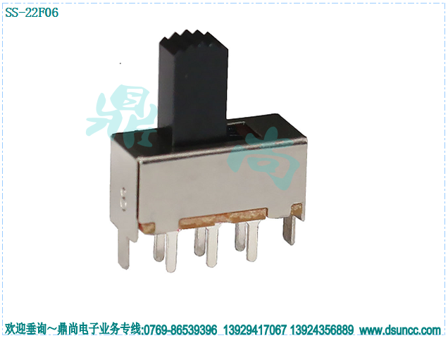 SS-22F06