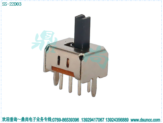 SS-22D03
