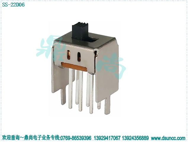 SS-22D06