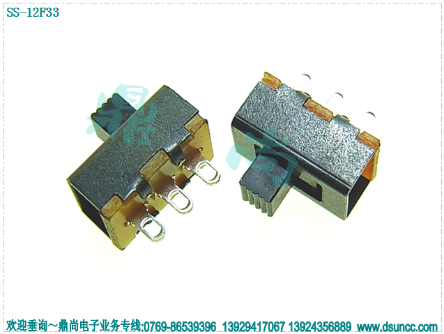 SS-12F33